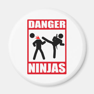 Ninja Academy Okinawa tötet Bill Magnet