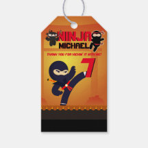 NINJA Movie Star Warrior Kicking it Karate Party