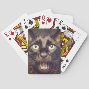 Ninja parle des cartes de jeu