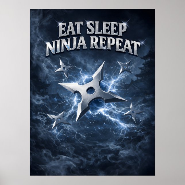 Ninja Schatten Eisangriff Poster (Vorne)