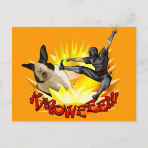 Ninja vs. Bunny Postcard(?!???) Postkarte