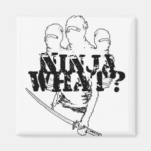 NINJA WAS? MAGNET