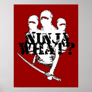 NINJA WAS? POSTER