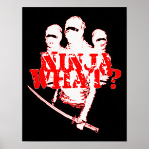 NINJA WAS? POSTER