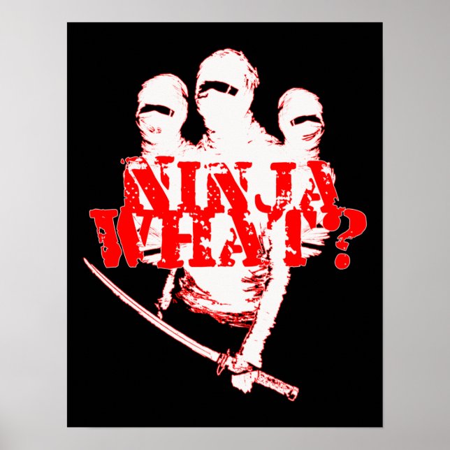 NINJA WAS? POSTER (Vorne)