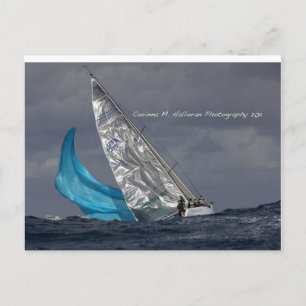 Ninkasi Gold Cup Postcard Postkarte