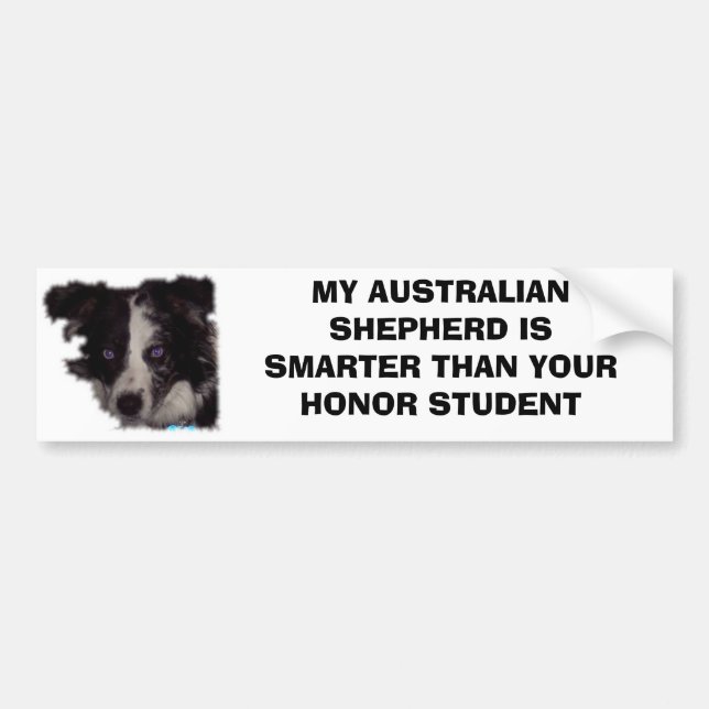 Niobe Co, MEIN AUSTRALISCHER SCHÄFER IST Autoaufkleber (Vorne)