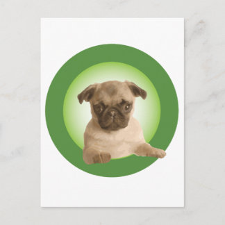 NIPRA Apparel Postkarte