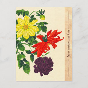 Nishimura Hodo Dahlias orientalische japanische Bl Postkarte
