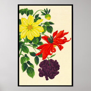 Nishimura Hodo Dahlien orientalische japanische Bl Poster