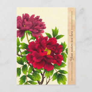 Nishimura Hodo Peony japanese Blume Fine Art Postkarte