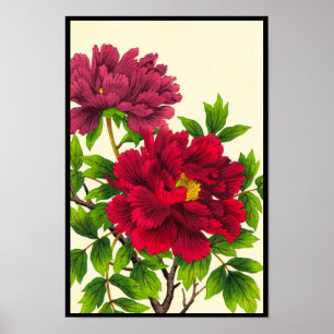 Nishimura Hodo Pfingstrose japanische Blumen feine Poster
