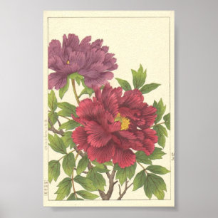 Nishimura Hodo Pfingstrose Japanische Blumen Fine Poster