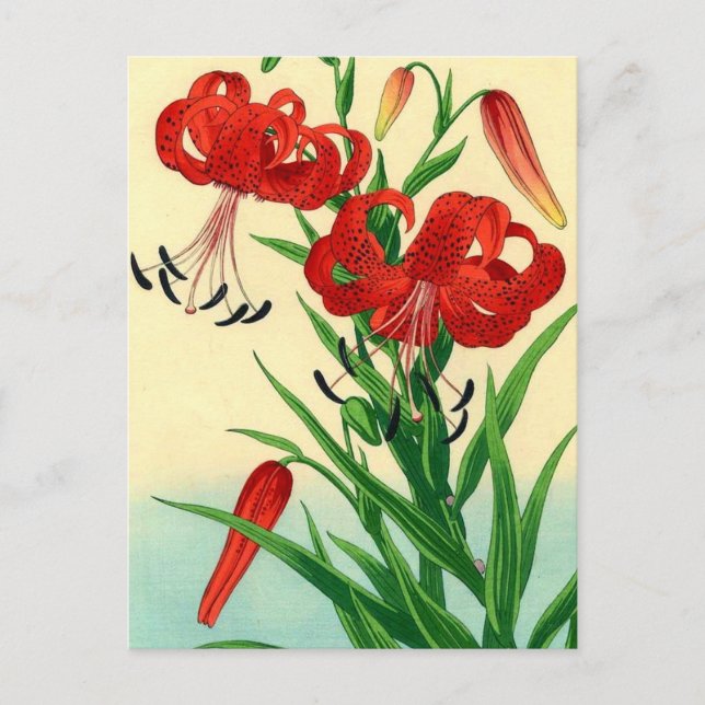 Nishimura Hodo Tiger Lilies Shin Hanga Blume Postkarte (Vorderseite)
