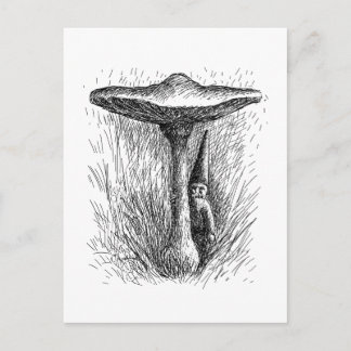 Nisse Elf Behind a Toadstool Postkarte