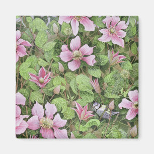 Nisten im Clematis Magnet