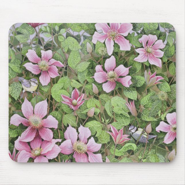 Nisten im Clematis Mousepad (Vorne)