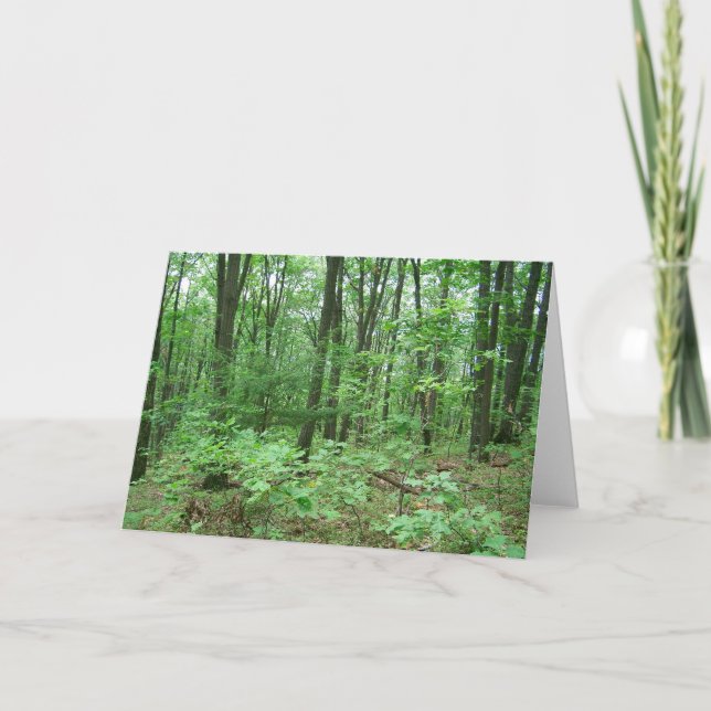 Nittany-Mitteilungskarten Karte (Vorderseite)