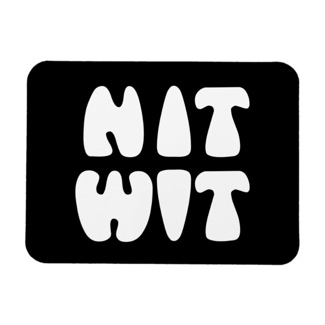 NITWIT MAGNET (Horizontal)