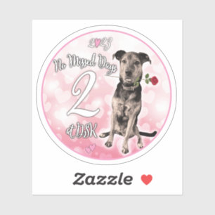 NMD à DSK - Sticker à insigne février 2023