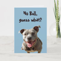 No Bull Wedding Anniversary Card
