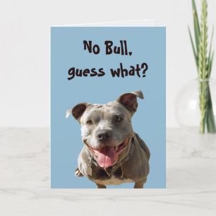 No Bull Wedding Anniversary Card Karte