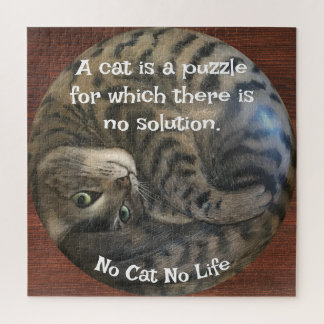 No Cat No Life