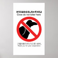 No Crow Poster