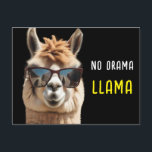 No Drama Llama Cool Alpaca mit Sonnenbrille Funny Postkarte<br><div class="desc">No Drama Llama Cool Alpaca mit Sonnenbrille Funny Postcard</div>