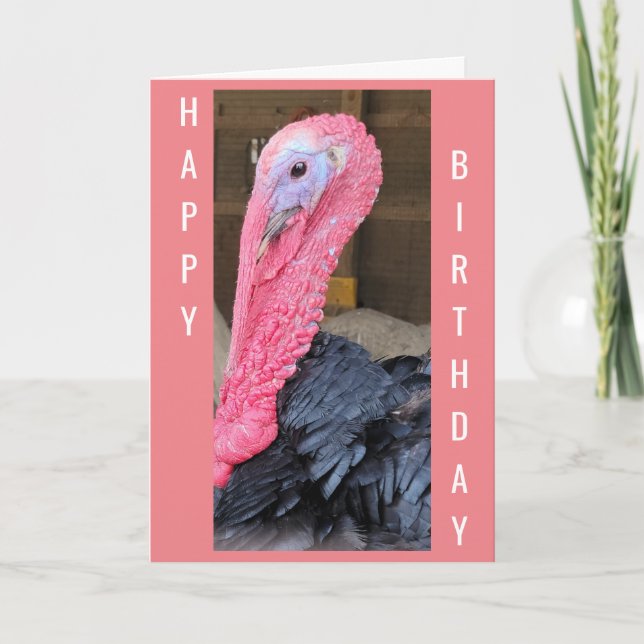 NO **FOWL PLAY HIER** NUR GLÜCKLICH BIRTHDAY WISHE KARTE (Vorderseite)