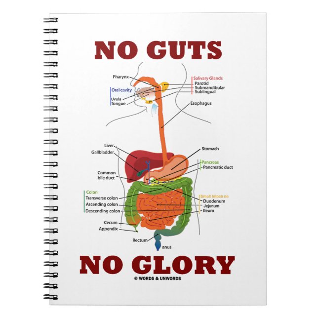 No Guts No Glory (Verdauungssystem Humor) Notizblock (Vorderseite)
