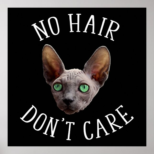No Hair Don't Care Funny Sphynx Cat Poster (Vorne)