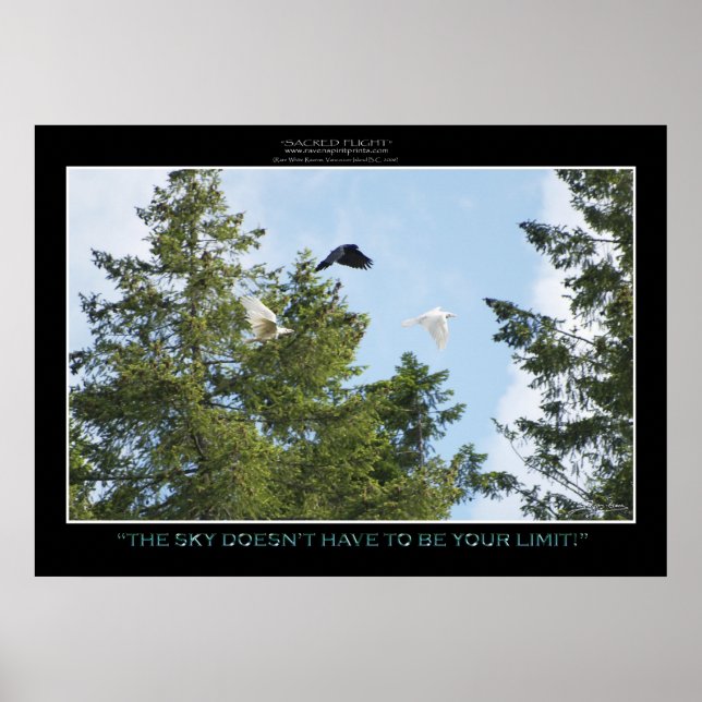 "NO LIMITS" Foto Print or Poster (Vorne)