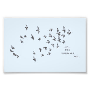 "No net ensnares me" + vögel (schwarz auf blass bl Fotodruck