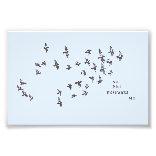 "No net ensnares me" + vögel (schwarz auf blass bl Fotodruck (Vorne)