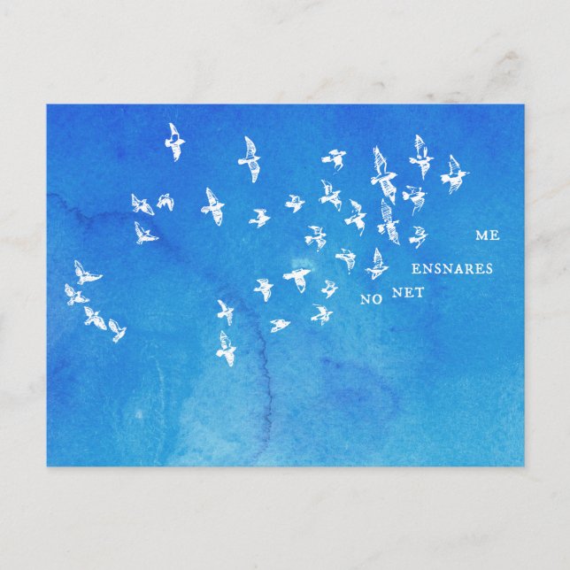 "No net ensnares me" + Vögel (weiß auf blau) Postkarte (Vorderseite)