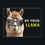 No Prob-Llama Cool Alpaca mit Sonnenbrille Funny Postkarte<br><div class="desc">No Prob-Llama Cool Alpaca mit Sonnenbrille Funny Postcard</div>