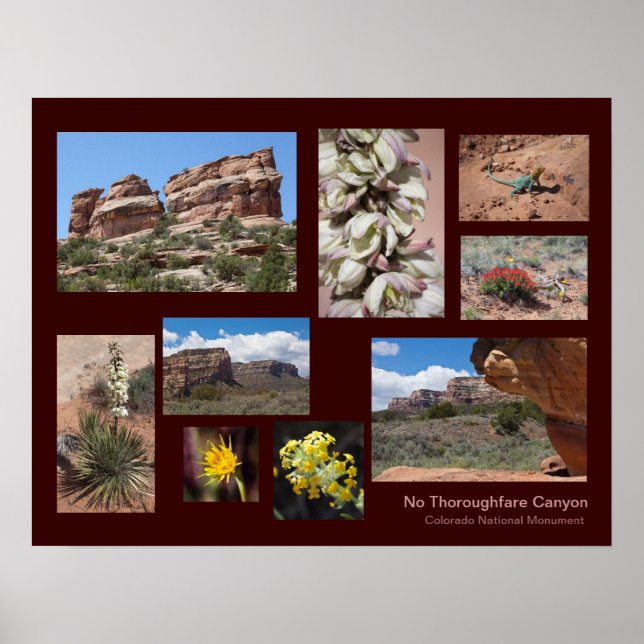 No Thorfare Canyon Personalisiert Travel Poster (Vorne)