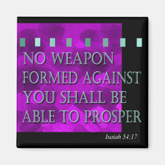 No Weapon Magnet