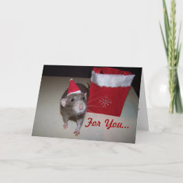 Noah Christmas Card 2 Feiertagskarte