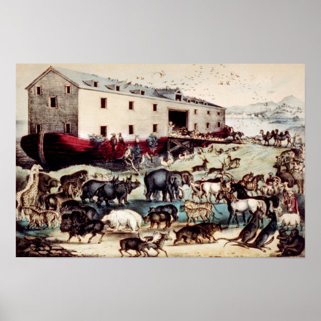Noahs Ark Poster (Vorne)
