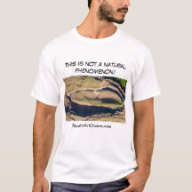 Noahs Ark T - Shirt (Männer)