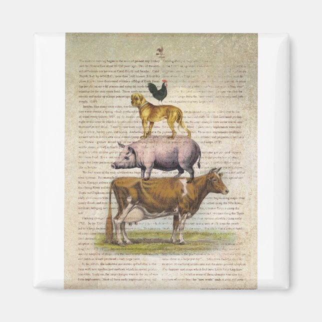 NOB10-Hof-Stand A1.tif Magnet (Vorne)