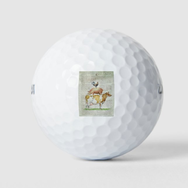 NOB11 Haltungsstand B1.tif Golfball (Vorderseite)