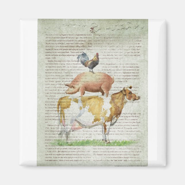 NOB11 Haltungsstand B1.tif Magnet (Vorne)