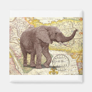 NOB173 Stamm 1.tif Magnet