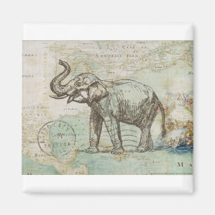 NOB174 Trunk 2.tif Magnet