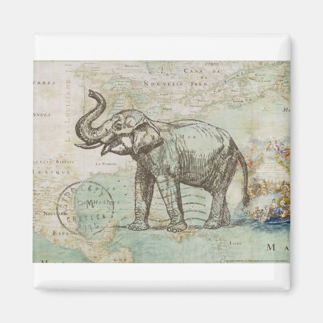 NOB174 Trunk 2.tif Magnet (Vorne)