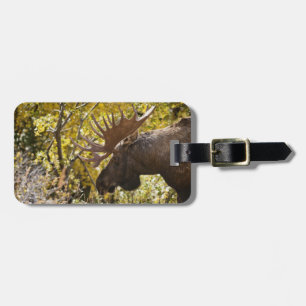 Noble Bull Moose Gepäckanhänger