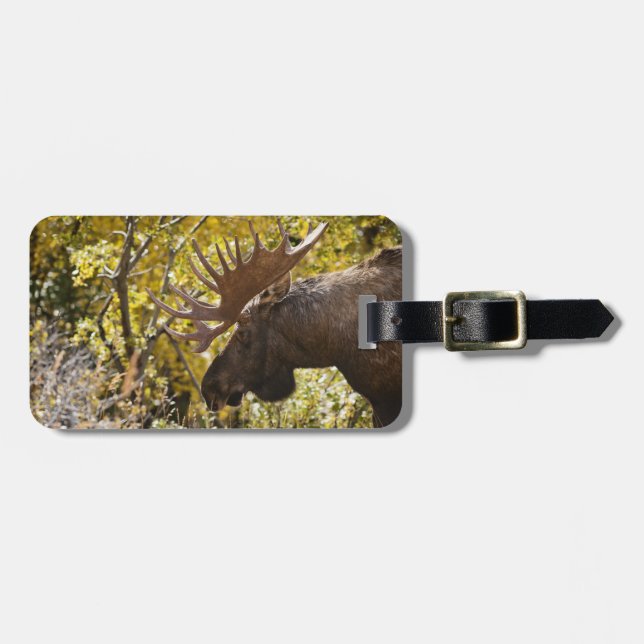 Noble Bull Moose Gepäckanhänger (Vorderseite horizontal)